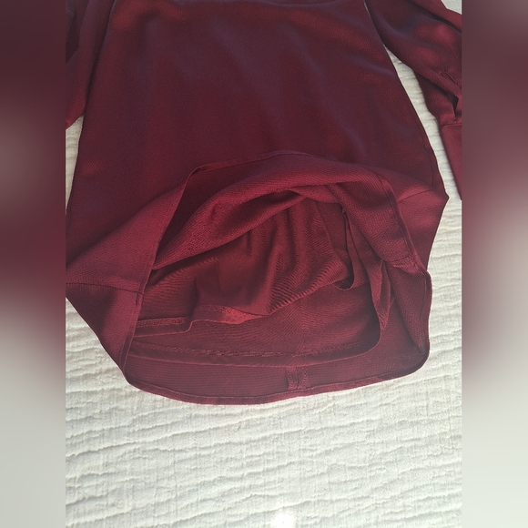 Express Burgundy Satin Long Sleeve Mini Dress - Picture 10 of 11
